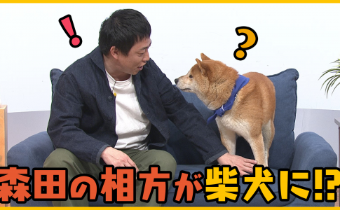 森田と犬 Look動画